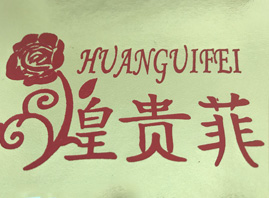 VݻFtWƼ޹˾