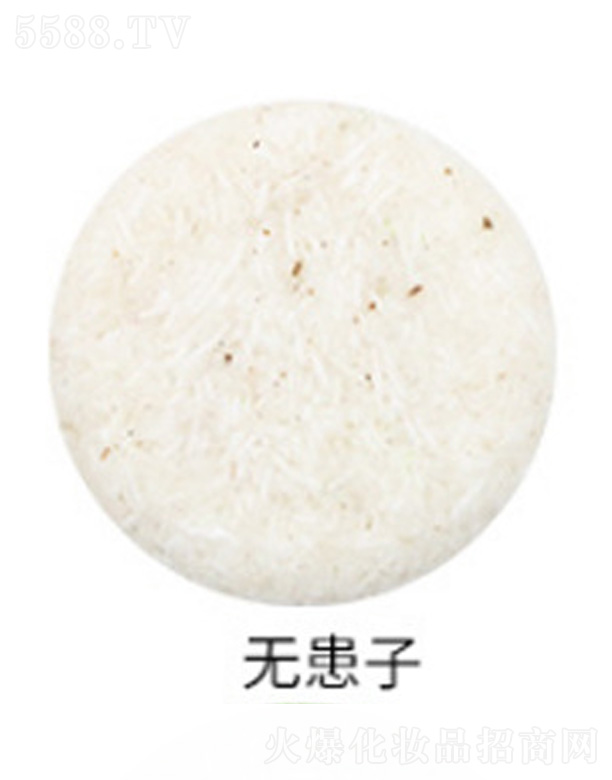 VӯƼ޹˾oϴl