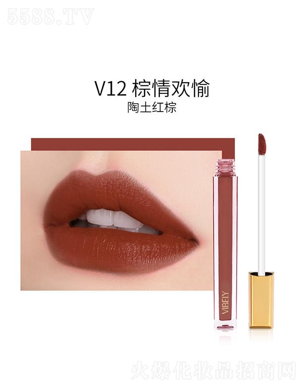 VЃɫyƷ޹˾VIBELYСKzqV12g䣨tأ
