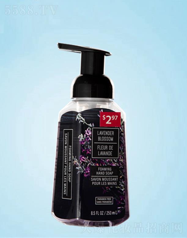׿I޹˾׿ĭϴҺ 250ml  Hwĭ