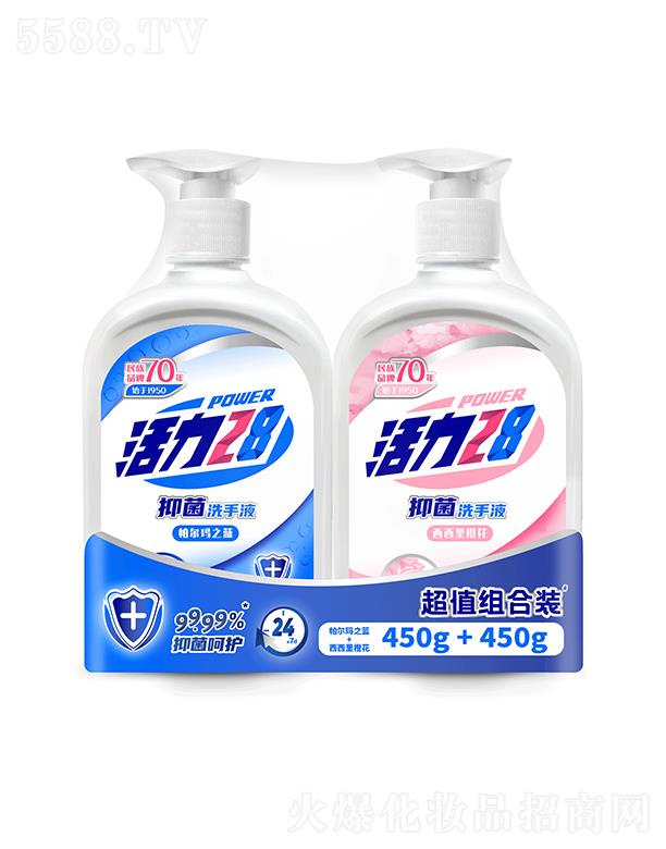 F޹˾28־ϴҺMb 450g+450g־o