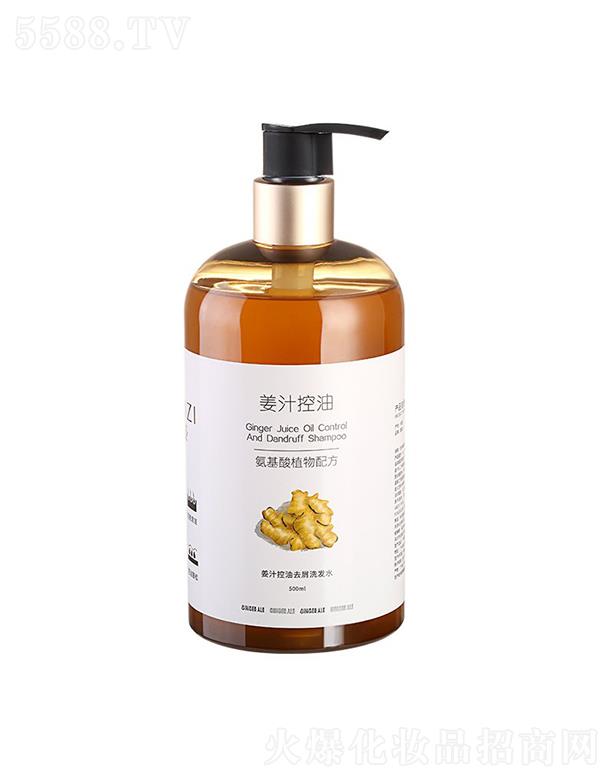 ֮Ƽ޹˾-֭ȥмϴlˮ 500ML