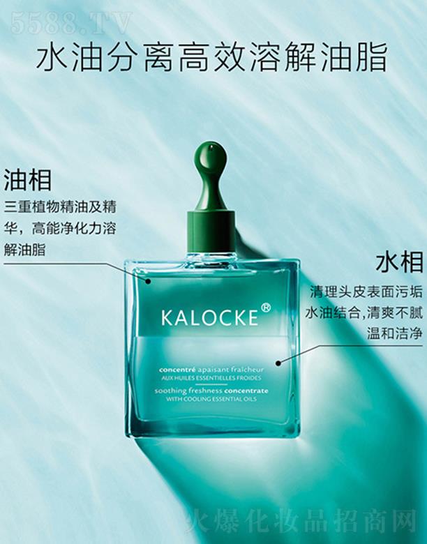 VɵƷƼ޹˾KALOCKE^Ƥ坍Һoem