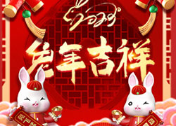 玉兔送福，開門大吉！廣東微肽給您拜年了！