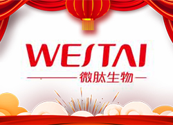 金龍送福，開門大吉！廣州微肽給您拜年了！