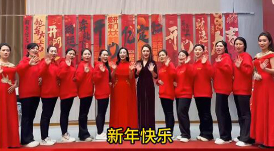 蛇年好運至，幸福滿人間！飛斯達祝您百事從歡，一路向陽！