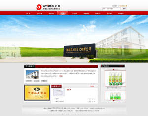 湖南省九喜日化有限公司