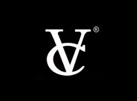 VݗɭˎI޹˾