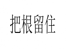 VѸסtˎƼ޹˾