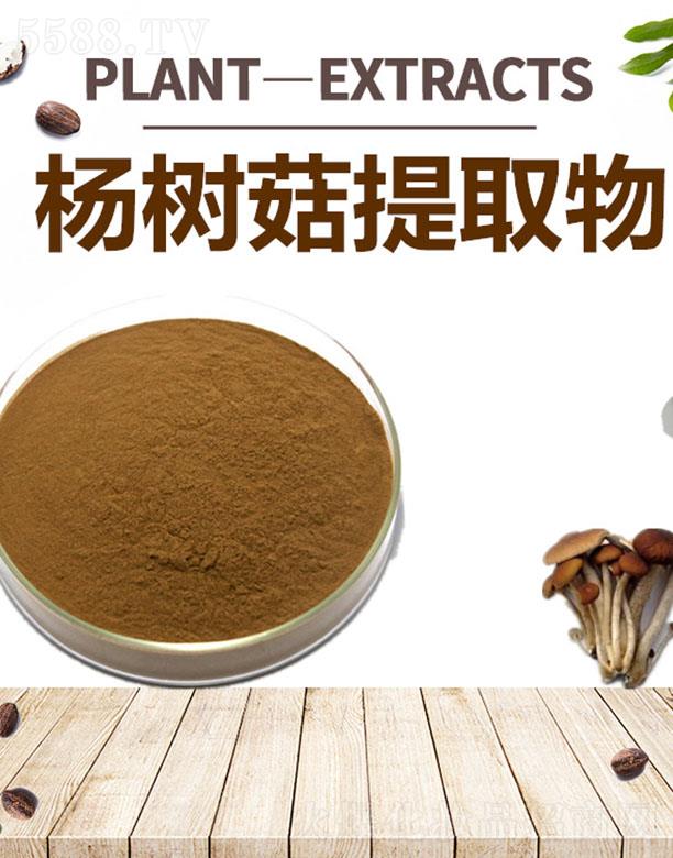 ĺ乽ȡ