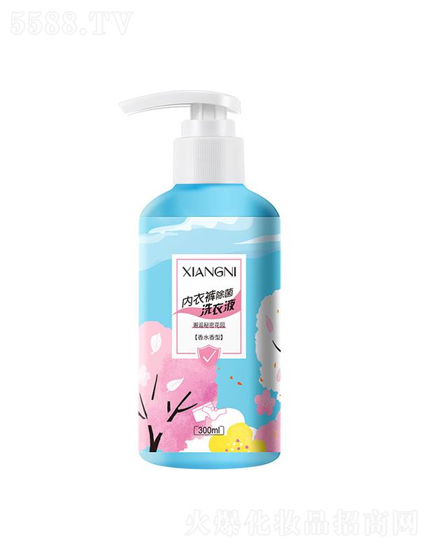 V݉ϣ{   DѝϴҺ   300ml    坍