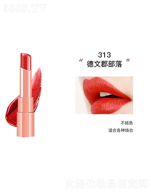 KANݼFⴽ313Ŀ