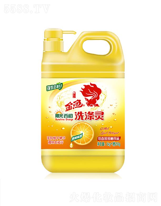 ~ꖹϴ` 1kg+ٛ450g 宐ζ