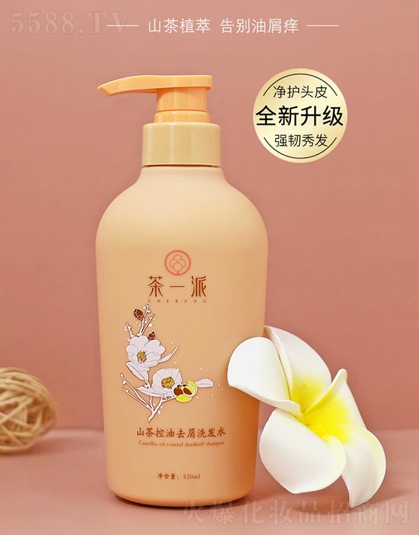 һɽȥмϴlˮ 520ml