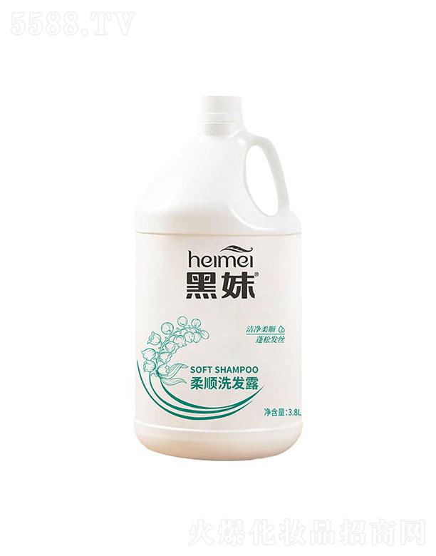 ϴl¶ 3.8L