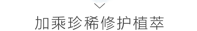aѩ˪