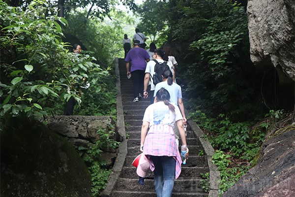內心有夢想便全力追蹤 內心有夢想便全力追蹤