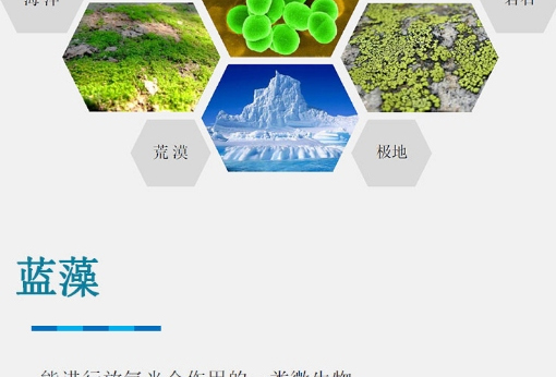未標題-3_05