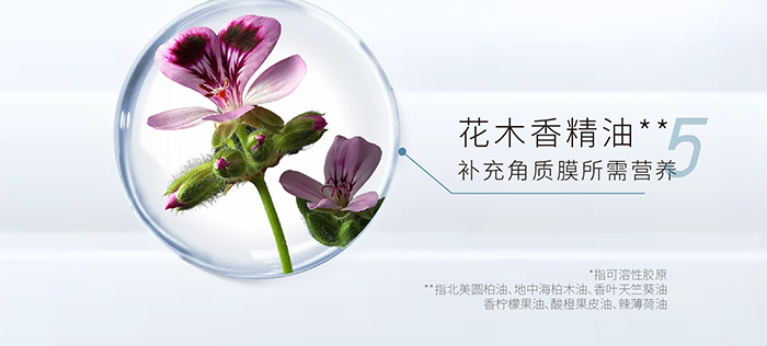 荷璞重組膠原肌肽滋潤抗皺霜